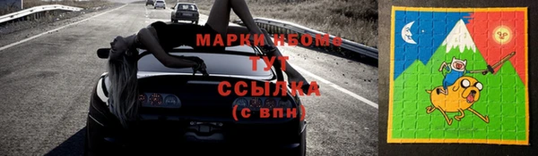 индика Аркадак