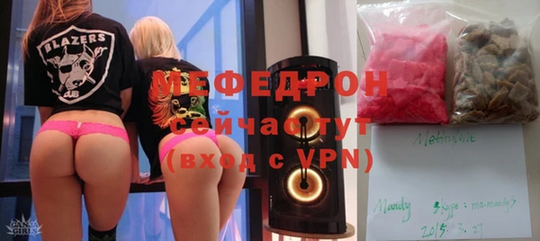 индика Аркадак