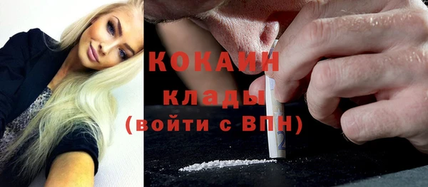 стафф Арсеньев