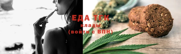 индика Аркадак