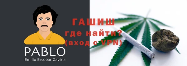 индика Аркадак
