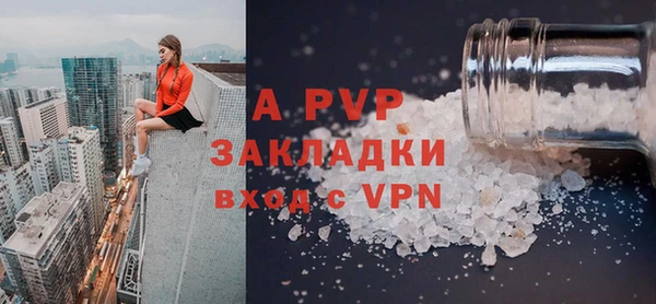 индика Аркадак