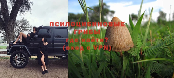 индика Аркадак