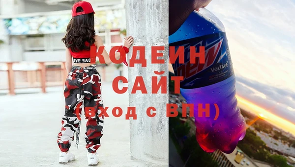 индика Аркадак