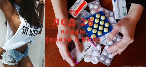 стафф Арсеньев