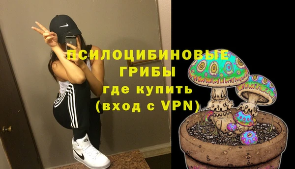 стафф Арсеньев