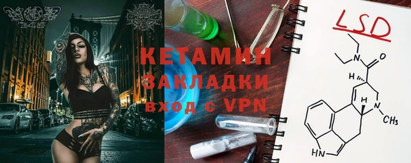 индика Аркадак
