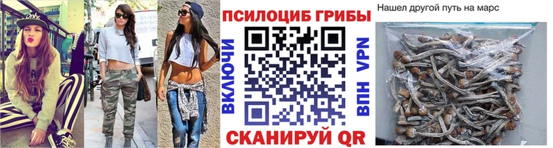Псилоцибиновые грибы Cubensis  Купить где  Мамадыш 